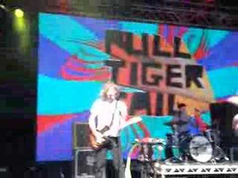 Pull Tiger Tail- Electric Gardens 07
