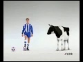 Cow Football Funny Commercial Ad