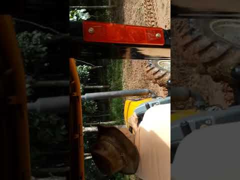 Só O Amor Constrói video