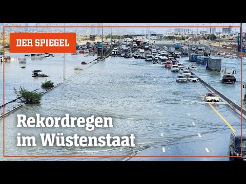 Unwetter in den Vereinigten Arabischen Emiraten: Flughafen unter Wasser | DER SPIEGEL