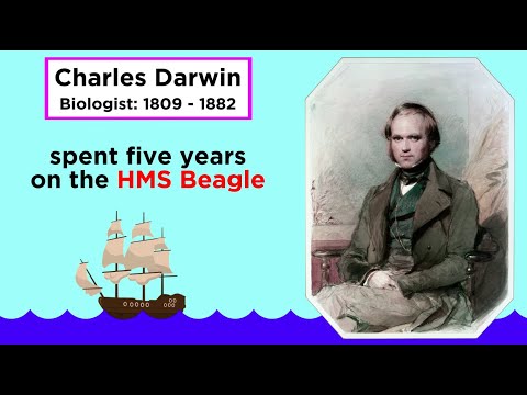 Charles Darwin's Idea: Descent With Modification