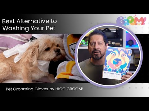 Best Alternative to Washing Your Pet | Use Pet Grooming Gloves by HICC GROOM!