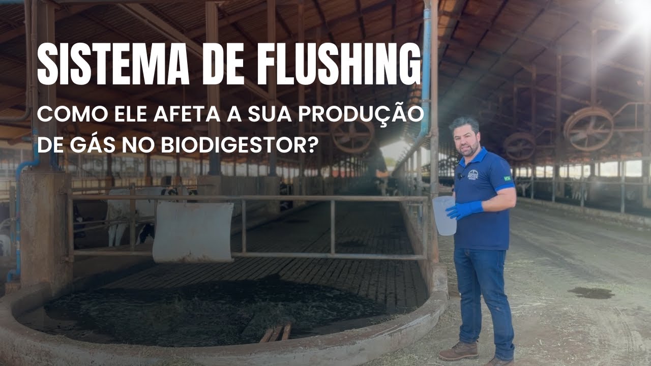 Sistema de Flushing: Como Ele Afeta a Produção de Biogás e o que Fazer para Reduzir o Impacto.