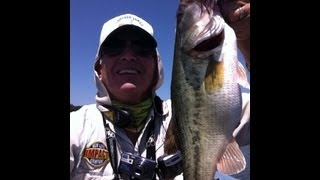 Drought Bass Fishing with Ko-Man-Chi Spinnerbaits, Bear Paws and FishTech