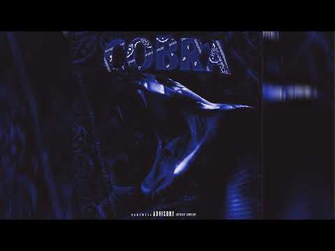 22stkm- cobra ft.@mxrseybluemobb @OfficialSrvBoiiMusic @BANGFIT.10510  [ Prod by@sk1lly_xo ]