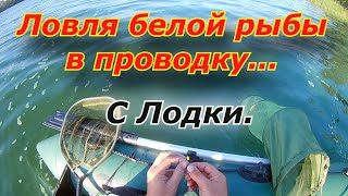 Допуски при ловле рыбы