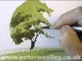A Simple Tree - Watercolour Demonstration by ...