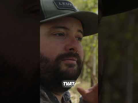 Did you know pigs bark. Teenager first deer with a bow #bigbucks #whitetailbuck #hunting #bowhunt