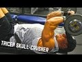 TRICEP MUSCLE GROWTH: SKULL CRUSHERS