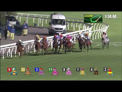 2/12/2020 (232) Wonder Win - K C Leung