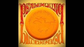 Neil Young &amp; Crazy Horse - Driftin Back