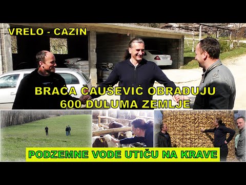 VODA ZA FARMERE IZ CAZINA - U POTRAZI ZA VODOM NA TERITORIJI CAZINA