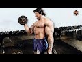 ARMS LIKE MOUNTAINS BEST BICEPS AND TRICEPS IN 70 S ARNOLD SCHWARZENEGGER ARM DAY MOTIVATION