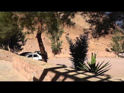 Гора Моисея+монастырь Св.Екатерины