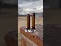 38 Special vs 357 Magnum