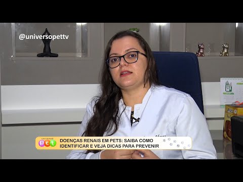 Doenças renais em Pets: Saiba como identificar e veja dicas para prevenir 09 01 2023