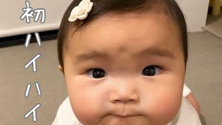 【オーストラリア育児】ズリバイからハイハイへ｜First Big Crawl