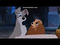 Opening To The Lion King 2011 DVD 720p
