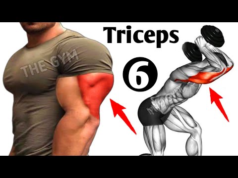 6 Best Exercises To Get Big Triceps Workout - THE GYM