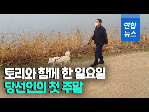 아이콘