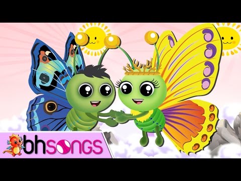 Fly Fly The Butterfly | Nursery Rhymes TV [Vocal 4K]