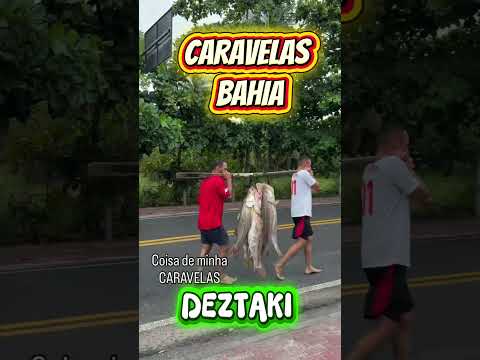 Bahia e suas Belezas #caravelas #Bahia #Deztaki