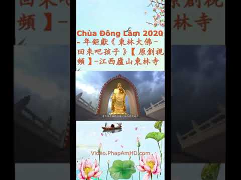 Chùa Đông Lâm 2020 9x16 年鉅獻《東林大佛 回來吧孩子》【原創視頻】 江西廬山東林寺