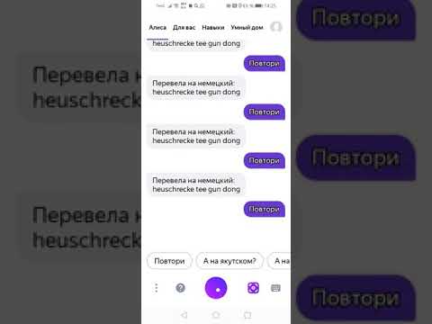 кузнечик, чай, пистолет, дон🤣🤣🤣