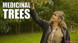 Medicinal Trees