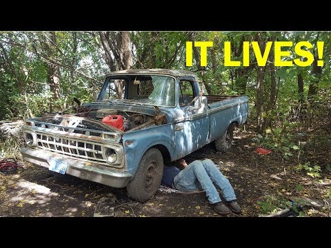 Abandoned F250 Revival! First Start in 26 Years -- Part 2