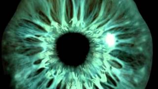 SKANK - MANDRAKE E OS CUBANOS - EDIÇÃO ARNALDO REIS