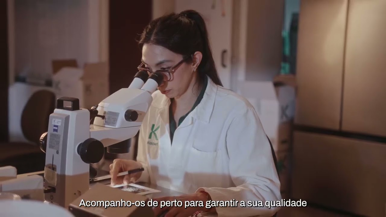 Video preview poster