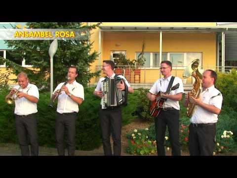 Ansambel Rosa na poroki - promo video