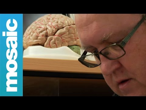 Last Chance Saloon (Part 2): All about the brain