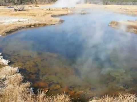 Sentinel Meadows, Yellowstone National Park