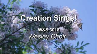 Creation Song Music Video