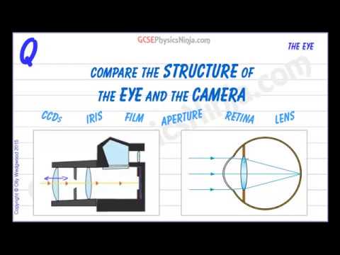 Structure of the Eye vs Camera - GCSE Physics