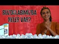 BUZDOLABIMIZDA NELER VAR? (Birlikte buzdolabımı yerleştirdik.) BUZDOLABIMIZDA NELER VAR? (Birlikte buzdolabımı yerleştirdik.)