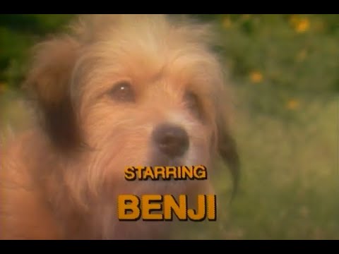 Бенджи, Закс и звездния принц - Епизод 1 - БГ Аудио