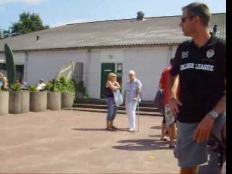 DVO Eibernest vuurwerk en pizza