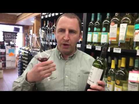 Casas Patronales Syrah | One Minute of Wine Episode #142