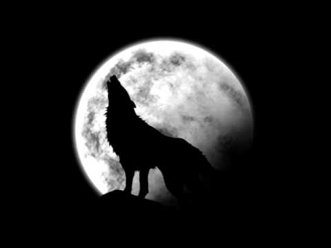 Teuchiland Feat Mc Médoc Et Jpoo ( La Nuit )