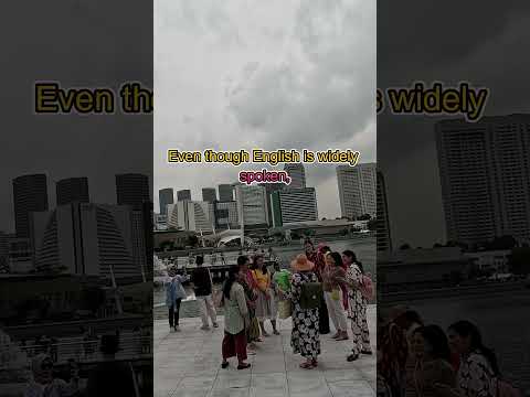 🇸🇬 The National Language of Singapore Explained in 20 Seconds