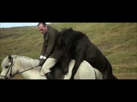 Trailer de De caballos y hombres
