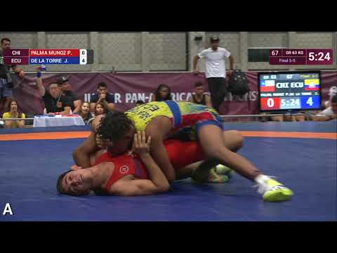BRONZE GR - 63 kg: P. PALMA MUNOZ (CHI) v. J. DE LA TORRE  (ECU)