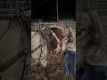 THE HORSE WENT CRAZY AND THRE ME OFF Horses Western Cowgirls Trend