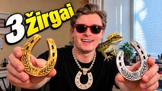 Trys žirgai | PASAKA apie užsitarnautą garbę