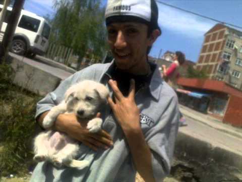 KÜBRA FT CENGİZ HAN HEVES EDER KOLPA