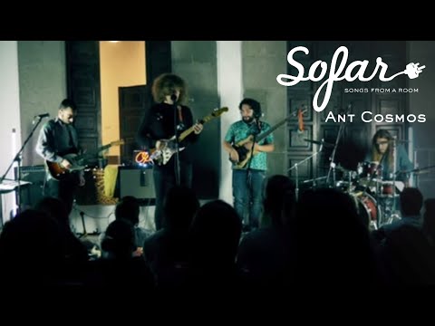 Ant Cosmos - Elementos | Sofar Gran Canaria
