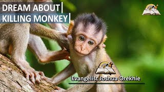Dream About Killing Monkey - Biblical Meaning of Monkey